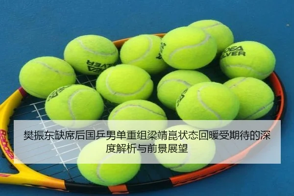 樊振东缺席后国乒男单重组梁靖崑状态回暖受期待的深度解析与前景展望 - MILANSPORTS